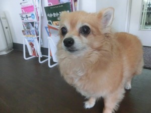 CIMG0533