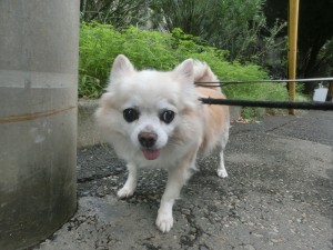CIMG0537
