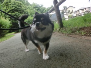 CIMG0540