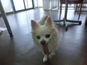 CIMG0541