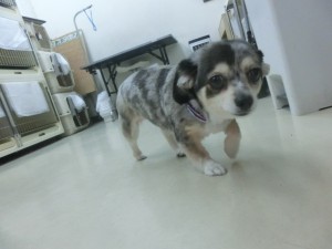 CIMG0551