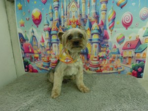 CIMG0552