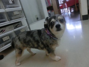 CIMG0555