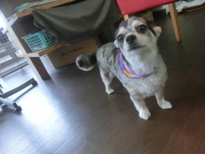CIMG0558