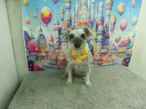 CIMG0558