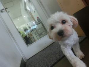 CIMG0558