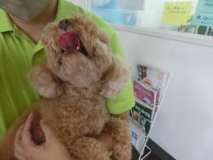CIMG0566