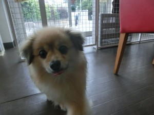 CIMG0566