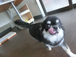 CIMG0567