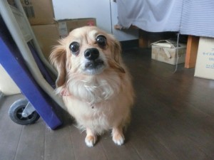 CIMG0567