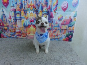 CIMG0571