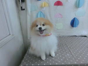 CIMG0576