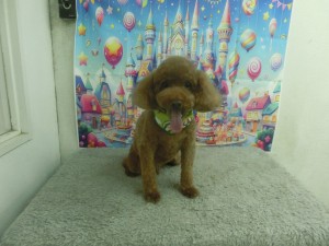 CIMG0582