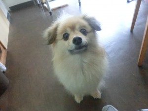 CIMG0588