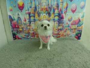 CIMG0590