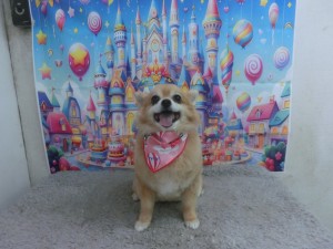 CIMG0599