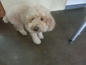 CIMG0601