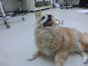 CIMG0605
