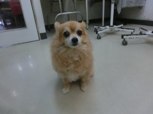 CIMG0609