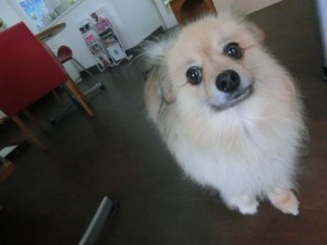 CIMG0618