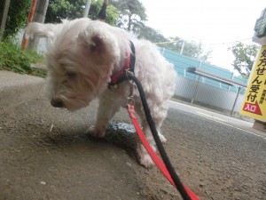CIMG0623