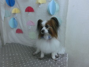 CIMG0625