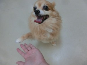 CIMG0630