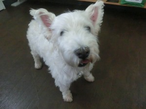 CIMG0637