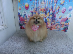CIMG0645