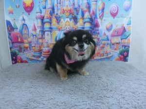 CIMG0652