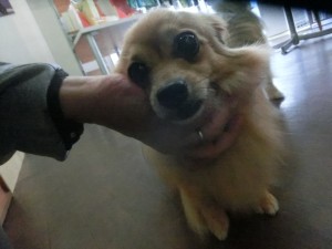 CIMG0655