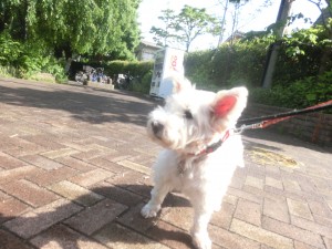 CIMG0674