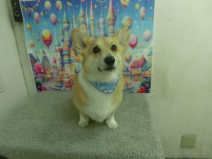 CIMG0680