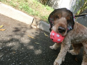 CIMG0682
