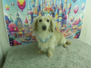 CIMG0690