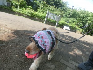 CIMG0693