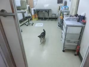 CIMG0705