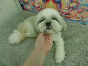 CIMG0706