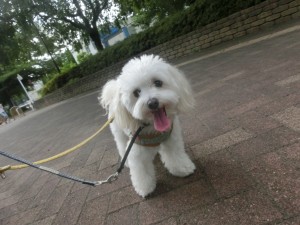 CIMG0728