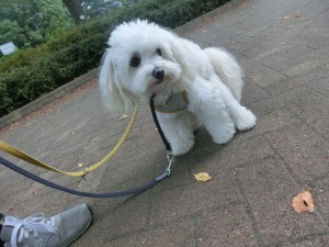 CIMG0731