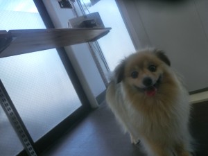CIMG0736