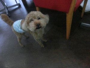 CIMG0745