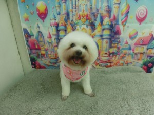 CIMG0747