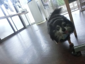 CIMG0749