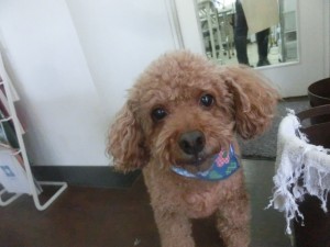 CIMG0756