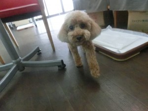 CIMG0757