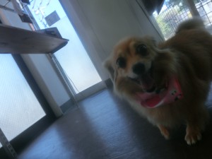 CIMG0757