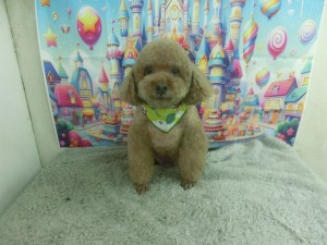CIMG0759