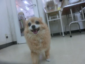 CIMG0761