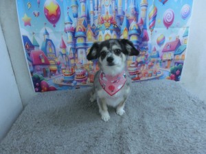 CIMG0764